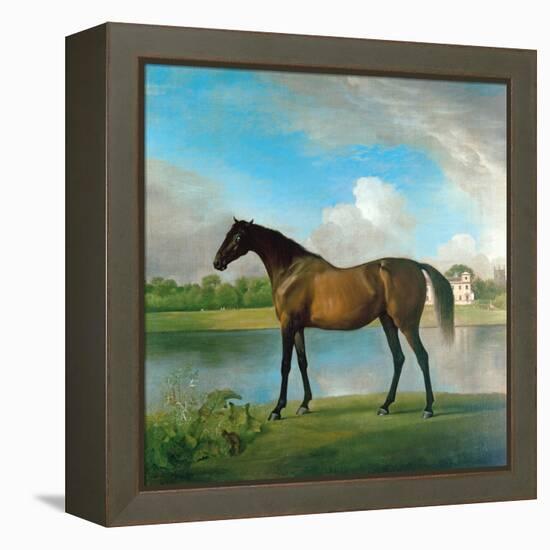 Lord Bolingbroke's Brood Mare in the Grounds of Lydiard Park, Wiltshire, C.1764-66-George Stubbs-Framed Premier Image Canvas