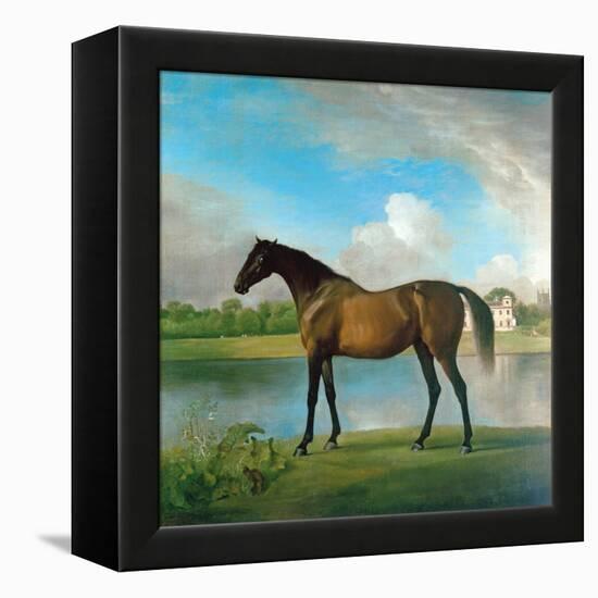 Lord Bolingbroke's Brood Mare in the Grounds of Lydiard Park, Wiltshire, C.1764-66-George Stubbs-Framed Premier Image Canvas