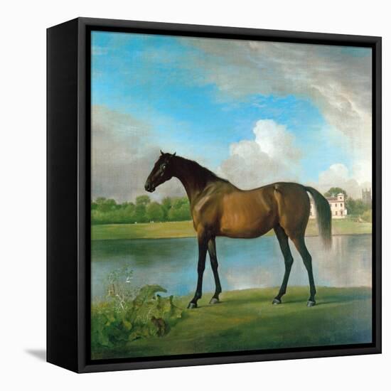 Lord Bolingbroke's Brood Mare in the Grounds of Lydiard Park, Wiltshire, C.1764-66-George Stubbs-Framed Premier Image Canvas