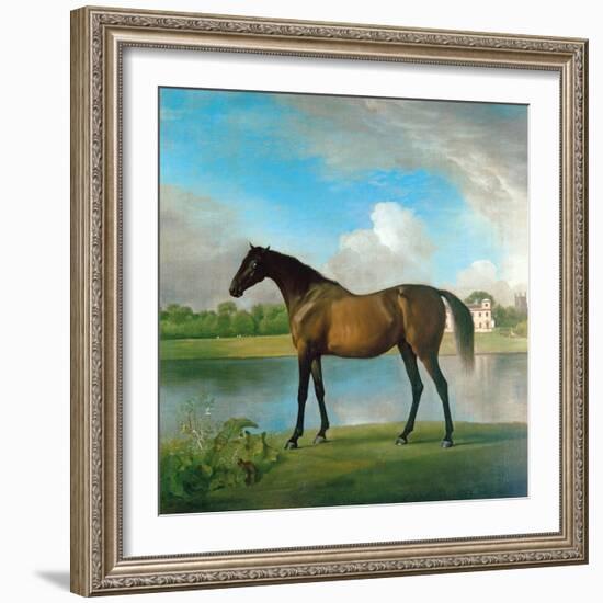 Lord Bolingbroke's Brood Mare in the Grounds of Lydiard Park, Wiltshire, C.1764-66-George Stubbs-Framed Giclee Print