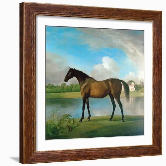 Lord Bolingbroke's Brood Mare in the Grounds of Lydiard Park, Wiltshire, C.1764-66-George Stubbs-Framed Giclee Print