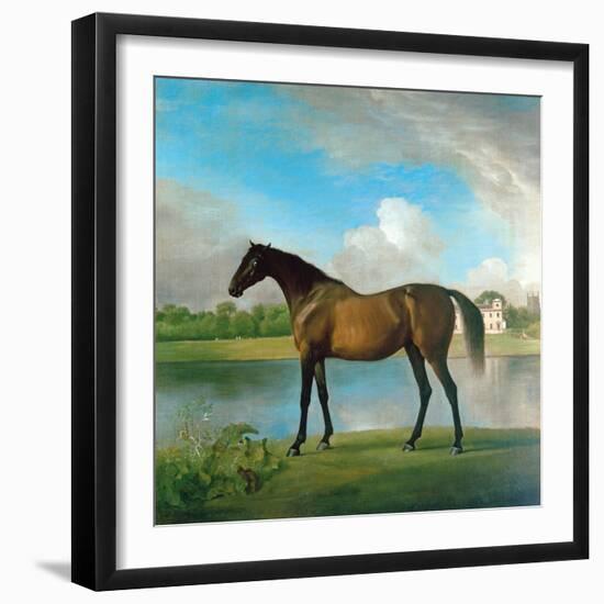 Lord Bolingbroke's Brood Mare in the Grounds of Lydiard Park, Wiltshire, C.1764-66-George Stubbs-Framed Giclee Print