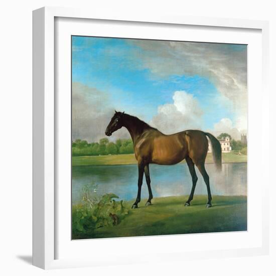Lord Bolingbroke's Brood Mare in the Grounds of Lydiard Park, Wiltshire, C.1764-66-George Stubbs-Framed Giclee Print