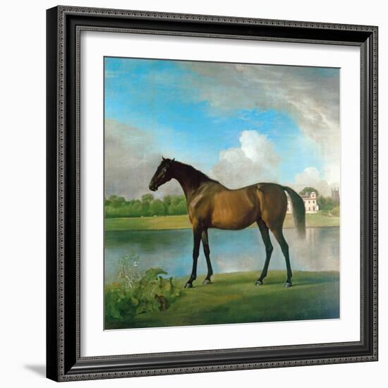 Lord Bolingbroke's Brood Mare in the Grounds of Lydiard Park, Wiltshire, C.1764-66-George Stubbs-Framed Giclee Print