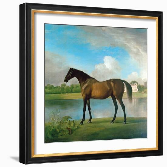 Lord Bolingbroke's Brood Mare in the Grounds of Lydiard Park, Wiltshire, C.1764-66-George Stubbs-Framed Giclee Print