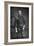 Lord Charles Beresford (1846-191), British Admiral and Member of Parliament, 1890-W&d Downey-Framed Photographic Print