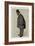 Lord Forester, Vanity Fair-Carlo Pellegrini-Framed Art Print