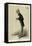 Lord Halifax, Vanity Fair-Carlo Pellegrini-Framed Stretched Canvas