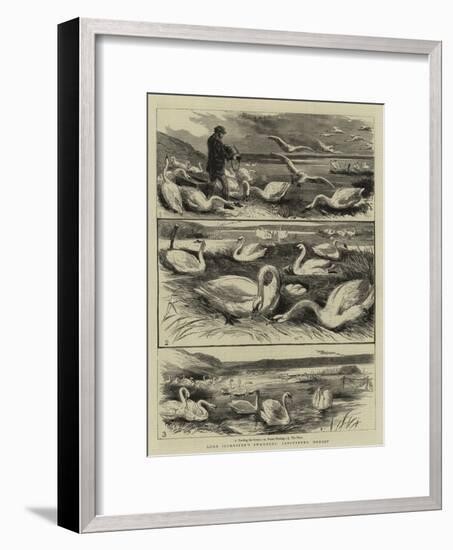 Lord Ilchester's Swannery, Abbotsbury, Dorset-null-Framed Giclee Print