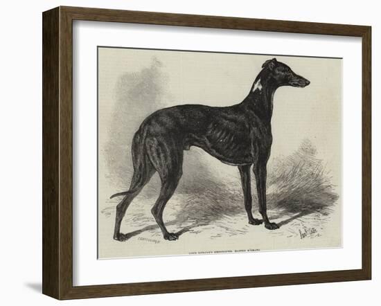 Lord Lurgan's Greyhound, Master M'Grath-Samuel John Carter-Framed Giclee Print