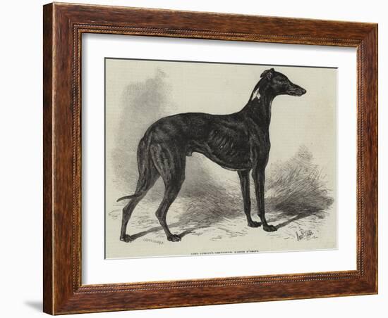 Lord Lurgan's Greyhound, Master M'Grath-Samuel John Carter-Framed Giclee Print