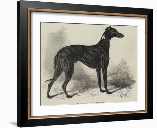 Lord Lurgan's Greyhound, Master M'Grath-Samuel John Carter-Framed Giclee Print