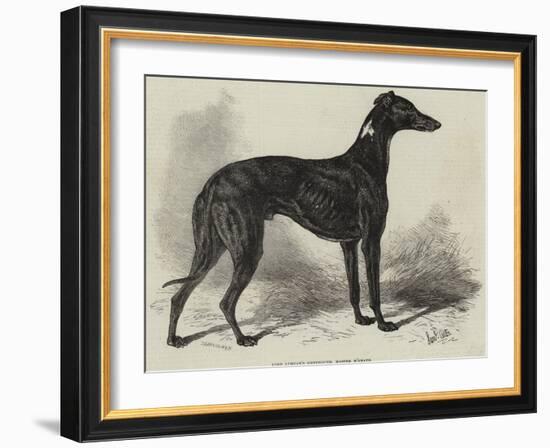 Lord Lurgan's Greyhound, Master M'Grath-Samuel John Carter-Framed Giclee Print