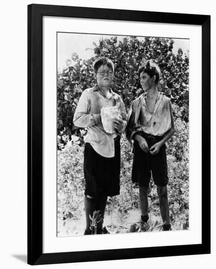 Photo, , large
