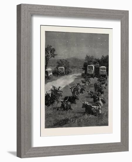 Lord Randolph Churchill in South Africa, the Oxen Outspanned in Camp-null-Framed Giclee Print