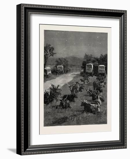 Lord Randolph Churchill in South Africa, the Oxen Outspanned in Camp-null-Framed Giclee Print