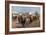 Lord Roberts Entering Pretoria, 1925-Sidney E Paget-Framed Giclee Print