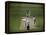 Lord's Cricket Ground, London, England-null-Framed Premier Image Canvas