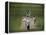 Lord's Cricket Ground, London, England-null-Framed Premier Image Canvas