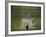 Lord's Cricket Ground, London, England-null-Framed Photographic Print