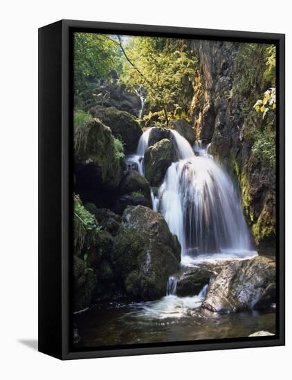 Lordor Cascade, Borrowdale, Lake District, Cumbria, England, United Kingdom, Europe-Nigel Blythe-Framed Premier Image Canvas