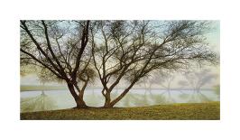 Silhouetts In Fog-Loren Soderberg-Framed Giclee Print