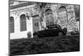 Photographic Print