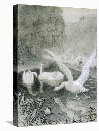 Stretched Canvas Print, , large