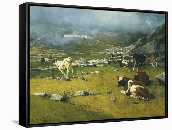 Stretched Canvas Print, , large