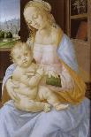 A Miracle of Saint Donato of Arezzo, C.1479-85 (Tempera on Panel)-Lorenzo di Credi-Giclee Print