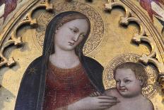 Madonna and Child, 15th Century-Lorenzo Di Niccolo-Framed Photographic Print