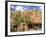 Loretto Inn in Santa Fe, New Mexico, United States of America, North America-Richard Cummins-Framed Photographic Print