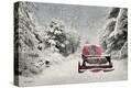 Stretched Canvas Print