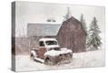 Stretched Canvas Print