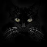 Black Cat-Lori Hutchison-Photographic Print