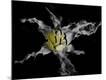 Premium Photographic Print