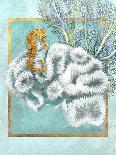 Coral and Seahorse-Lori Schory-Framed Art Print