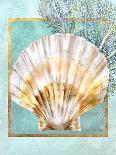Scallop Shell and Coral-Lori Schory-Framed Stretched Canvas