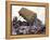 Lorry Arrives at Waste Tipping Area at Landfill Site, Mucking, London-Louise Murray-Framed Premier Image Canvas