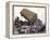 Lorry Arrives at Waste Tipping Area at Landfill Site, Mucking, London-Louise Murray-Framed Premier Image Canvas