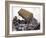 Lorry Arrives at Waste Tipping Area at Landfill Site, Mucking, London-Louise Murray-Framed Photographic Print