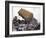 Lorry Arrives at Waste Tipping Area at Landfill Site, Mucking, London-Louise Murray-Framed Photographic Print