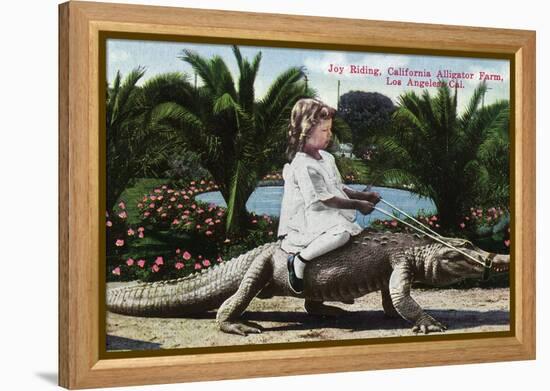 Los Angeles, California - Girl Riding Alligator at the Farm-Lantern Press-Framed Stretched Canvas