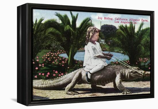 Los Angeles, California - Girl Riding Alligator at the Farm-Lantern Press-Framed Stretched Canvas