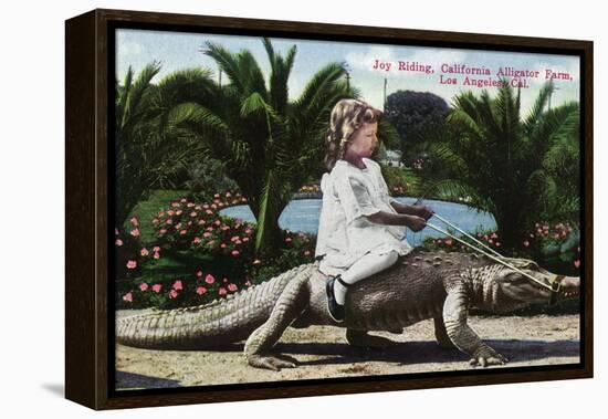 Los Angeles, California - Girl Riding Alligator at the Farm-Lantern Press-Framed Stretched Canvas