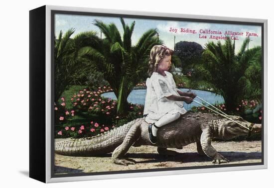 Los Angeles, California - Girl Riding Alligator at the Farm-Lantern Press-Framed Stretched Canvas