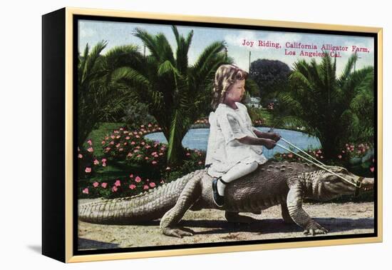 Los Angeles, California - Girl Riding Alligator at the Farm-Lantern Press-Framed Stretched Canvas