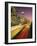 Los Angeles, California, Harbor Freeway, twilight-Stuart Westmorland-Framed Photographic Print