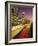 Los Angeles, California, Harbor Freeway, twilight-Stuart Westmorland-Framed Photographic Print