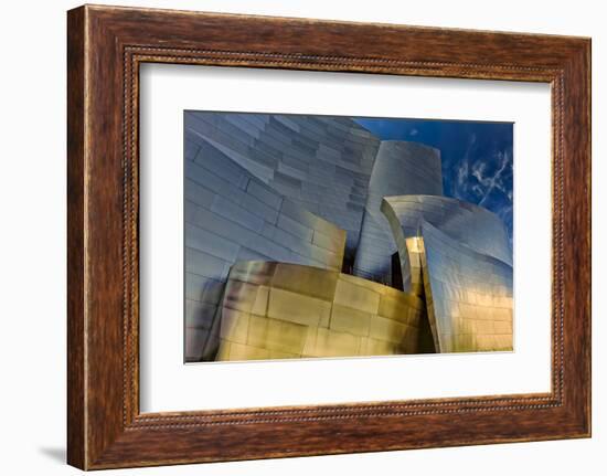 Los Angeles, California. the Disney Concert Hall Exterior-Rona Schwarz-Framed Photographic Print